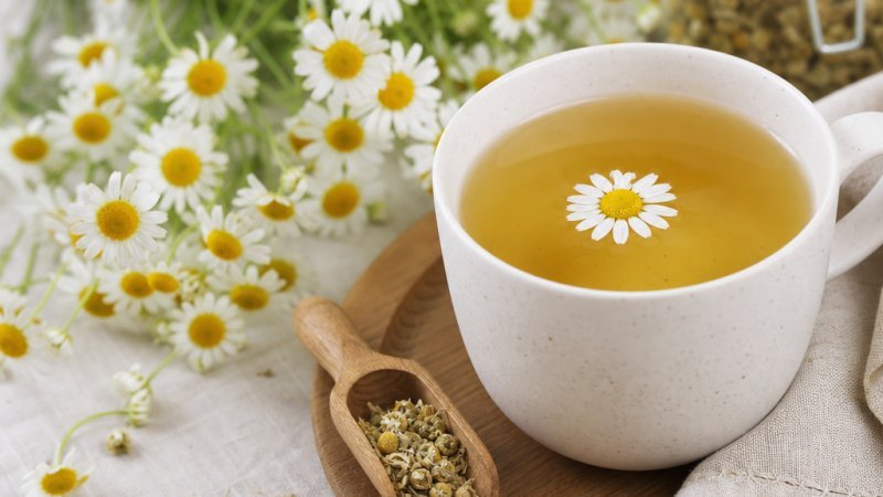 beneficios reales de la manzanilla en salud