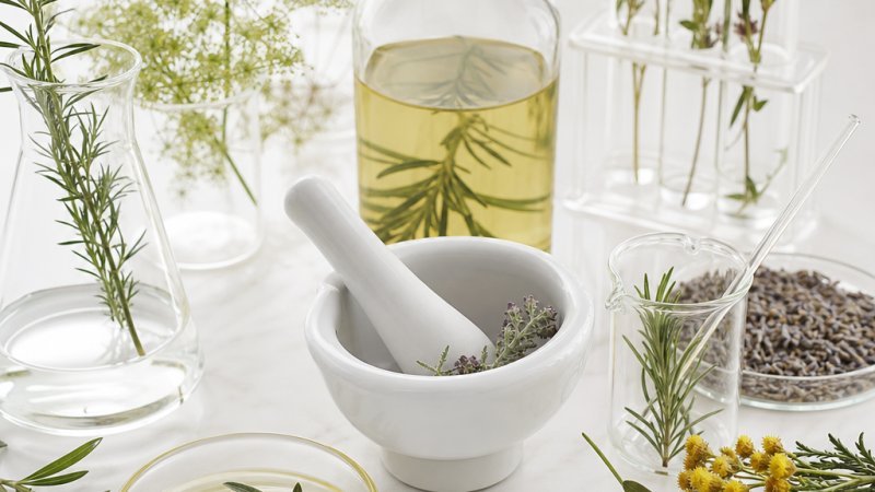 Mediterranean Botanicals You Need to Know This Summer