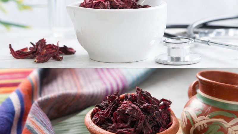 flor de hibisco frío salud corazón beneficios