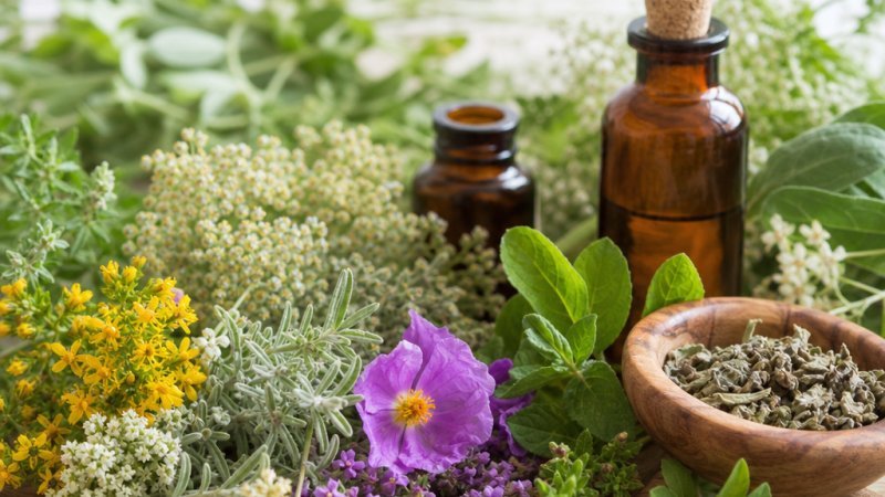 plantas españolas sorprendentes en hábitat natural