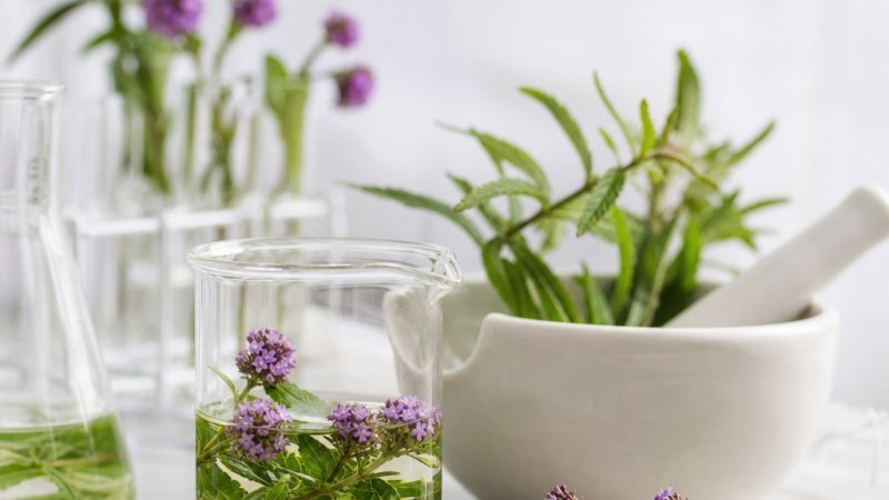 beneficios de la verbena en verano destacada