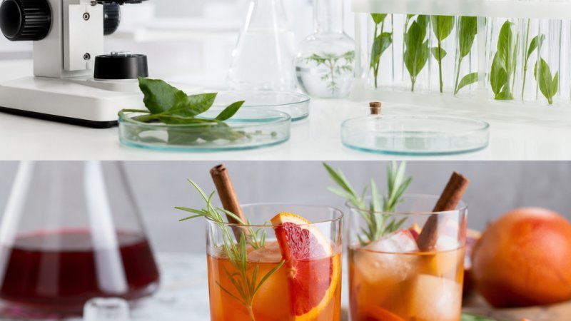 Receta de Té Frío con Naranja Sanguina y Canela: Sorprende a tus Invitados