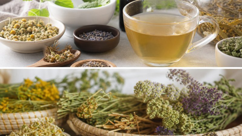 Tea for Summer Stress: Plants that Calm When the Pace Picks Up