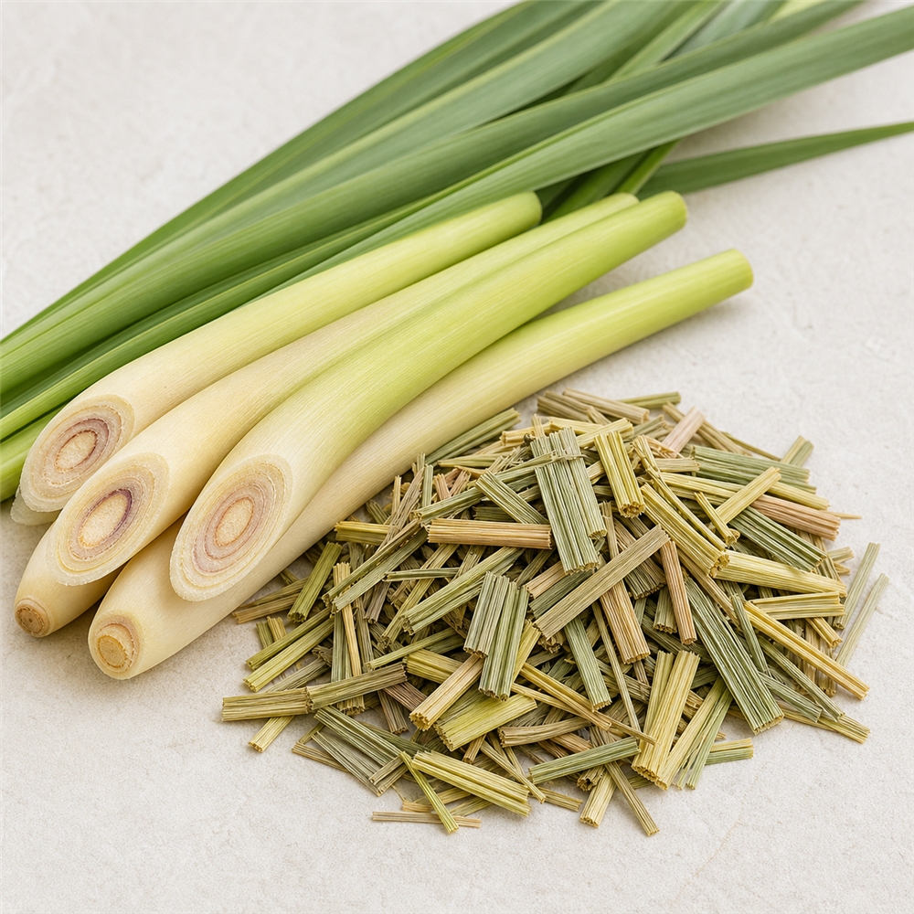 Lemon Grass: La hierba del limon originaria de Asia tropical.